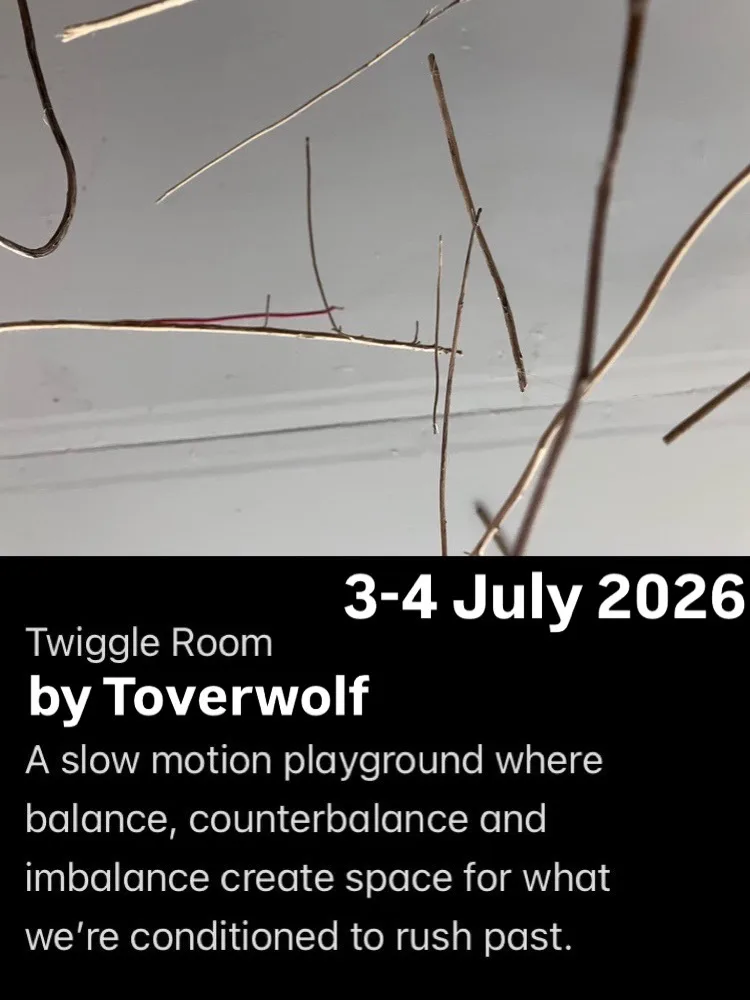 Twiggle Room: a slow motion playground 