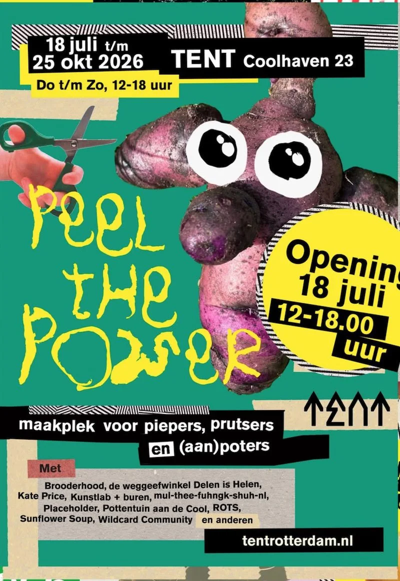 Peel the Power - workshops, game nights, zines