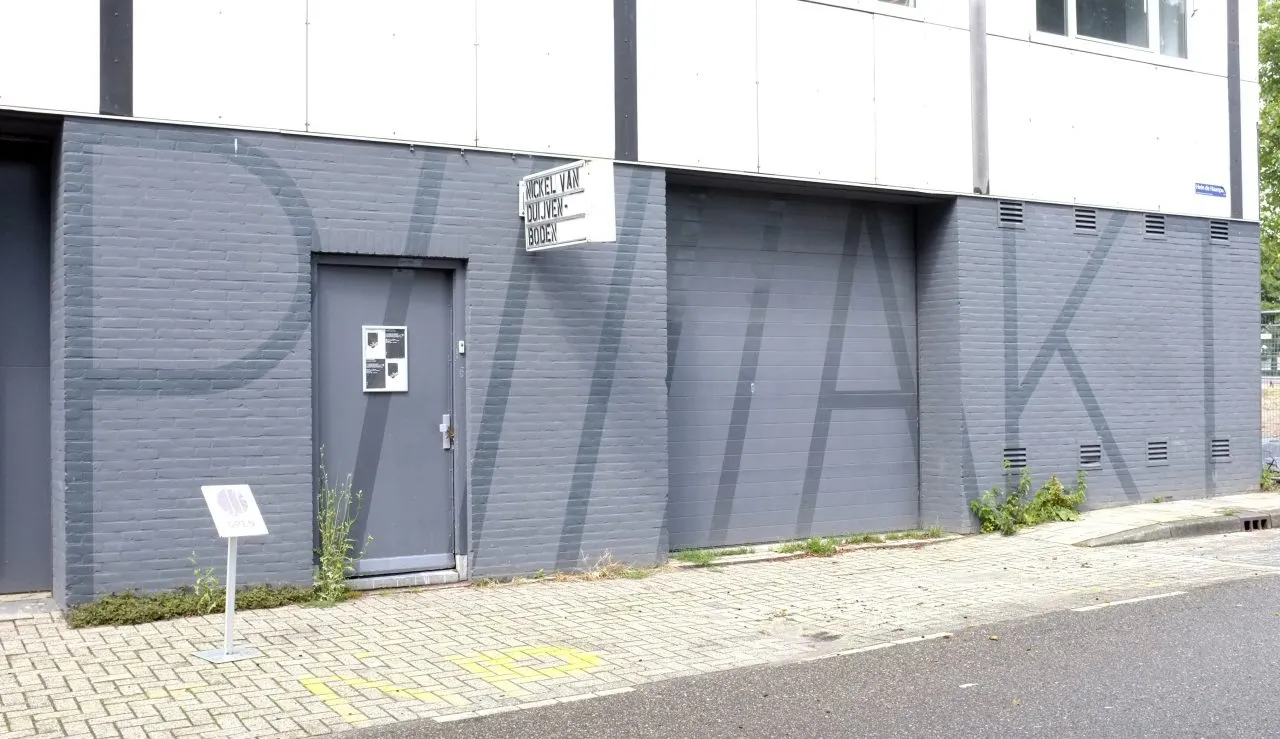 P/////AKT