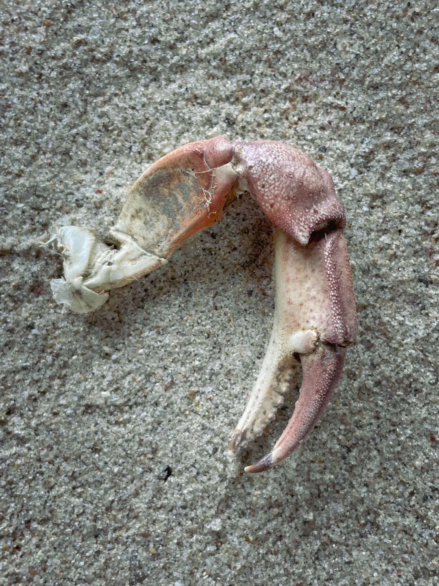 Sea, swallow me