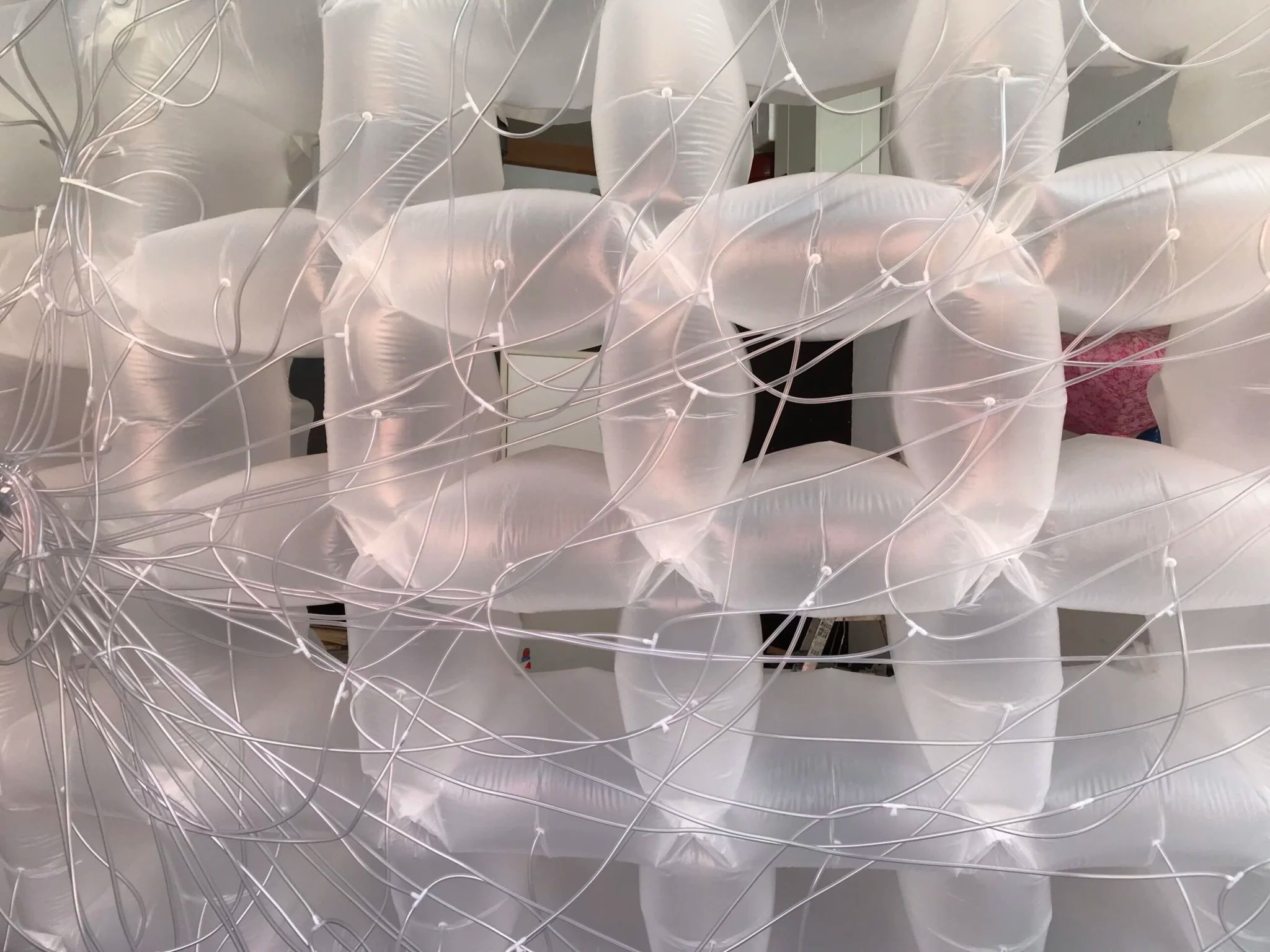 Amaryllis Switch – What if bacteria will construct a new habitat of our plastic waste | Ronald van der Meijs