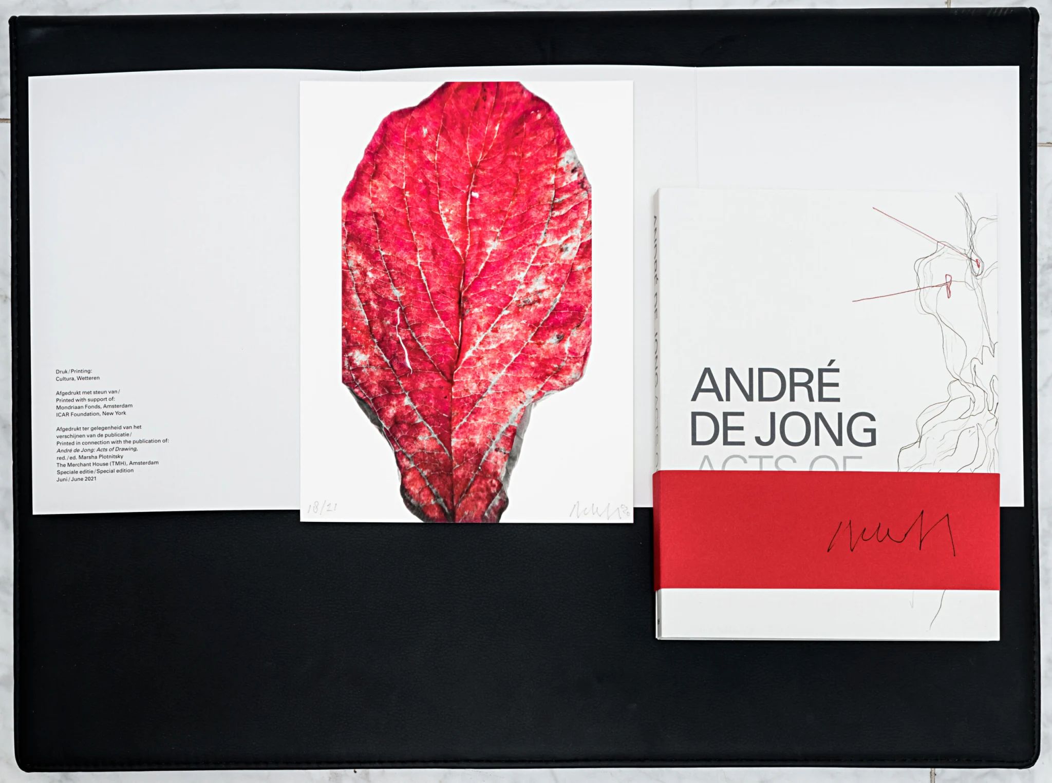 Screening & Meet the Artists: André de Jong & Beppie Gielkens