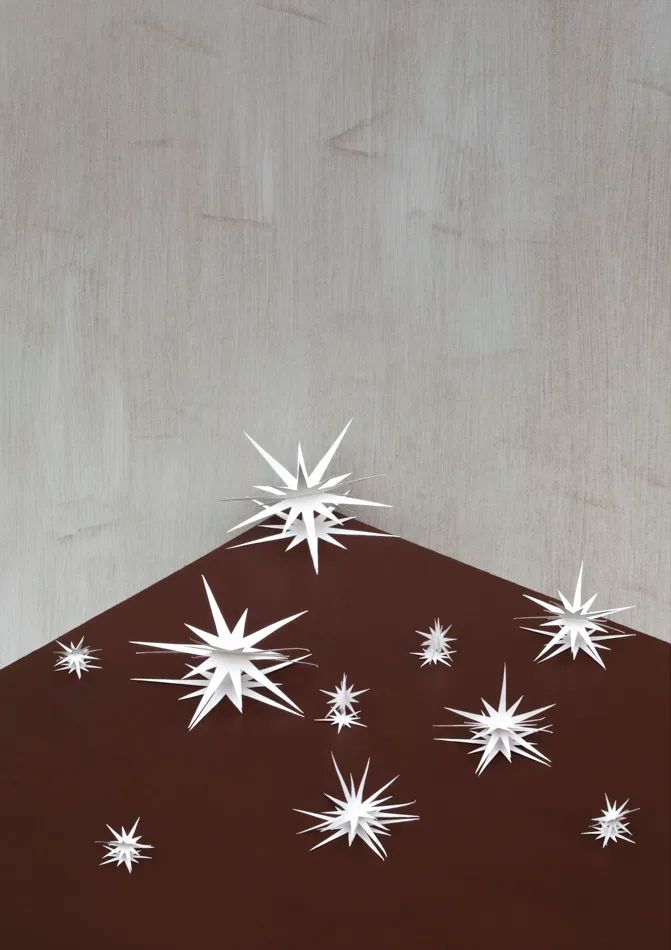 Upclose | Ilona Plaum