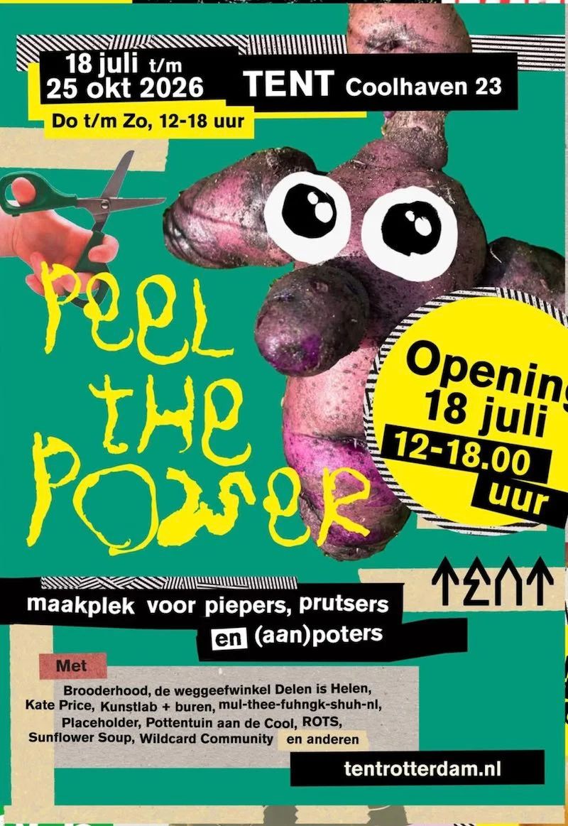 Peel the Power - workshops, game nights, zines