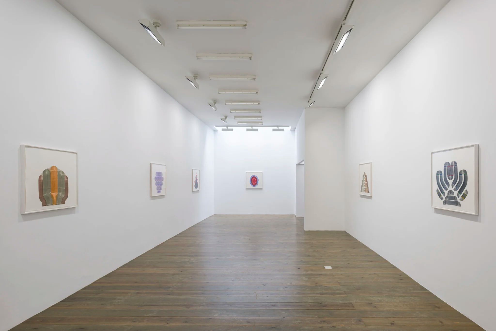 Decoys | Dan Walsh