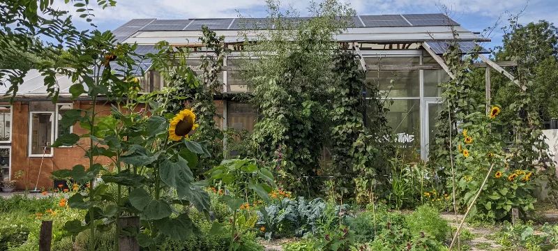 Kaskantine