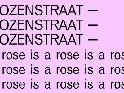 ROZENSTRAAT – a rose is a rose is a rose