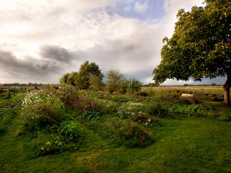Voedselpark Amsterdam
